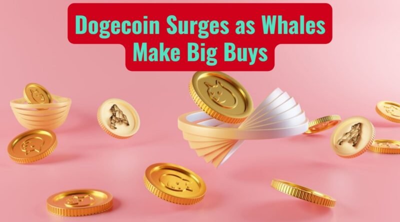 Dogecoin Surges as Whales Make Big Buys Future Predictions